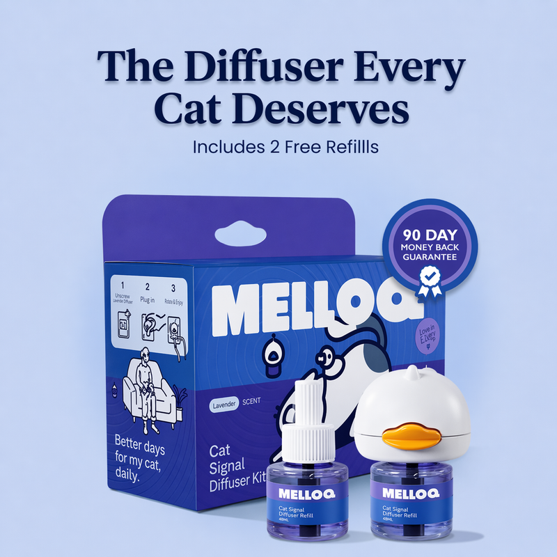 Formulas designed to effortlessly support your cat's balance